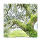 Mossy Oak Dreaming - Canvas