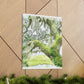 Mossy Oak Dreaming - Canvas