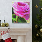 Rose Reflection Dream. - Canvas