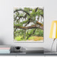 Faded Grandeur Oak. - Canvas