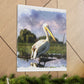 Marshy Pelican Dream - Canvas