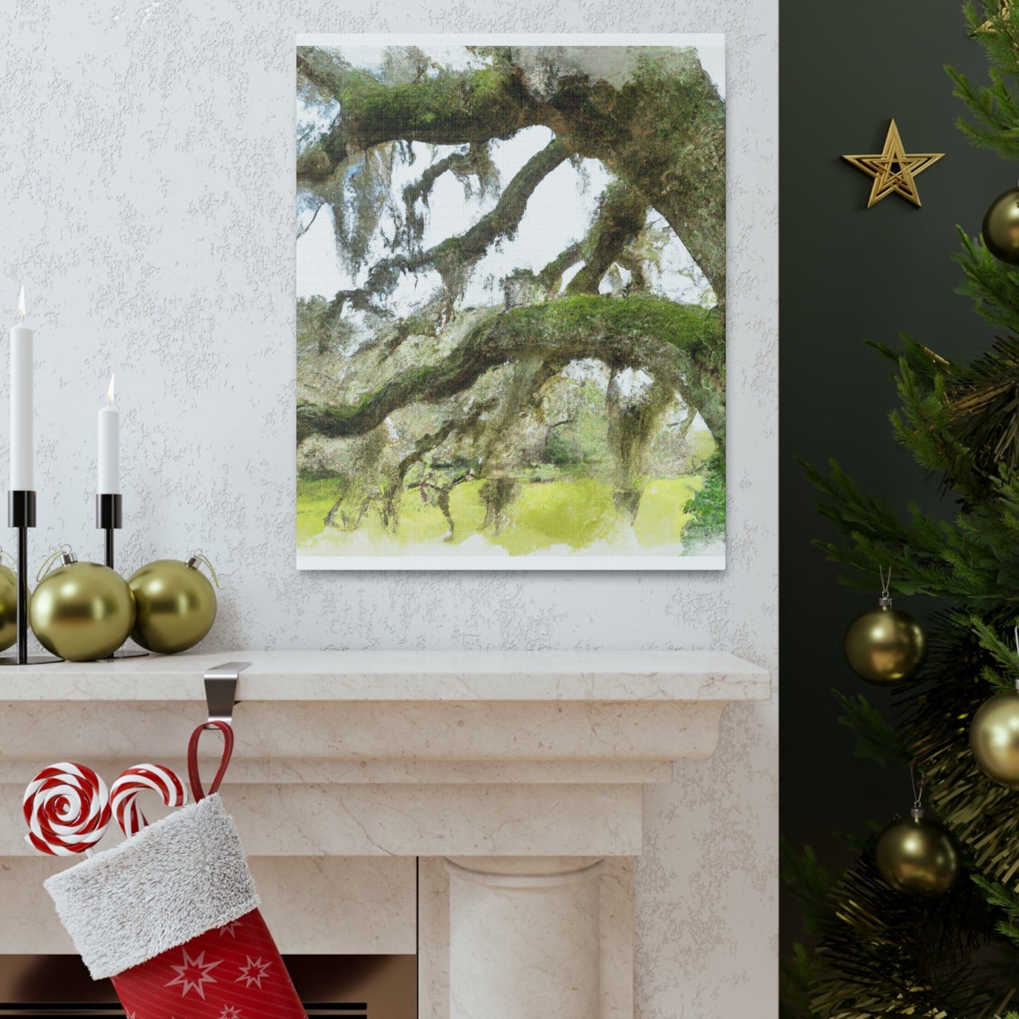 Live Oak Dreaming. - Canvas
