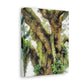 Vivid Woodland Scene - Canvas
