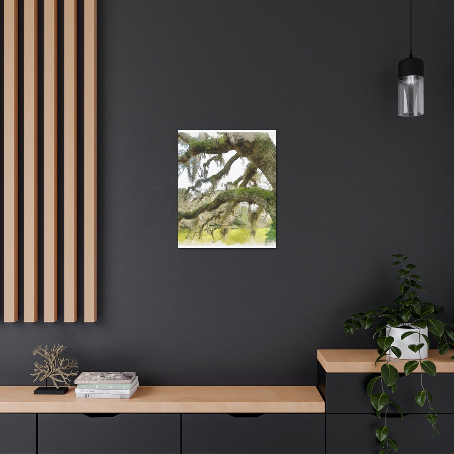 Live Oak Dreaming. - Canvas