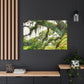 Windy Moss Lullaby - Canvas