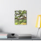 Faded Grandeur Oak. - Canvas