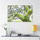Mossy Oak Dreaming - Canvas