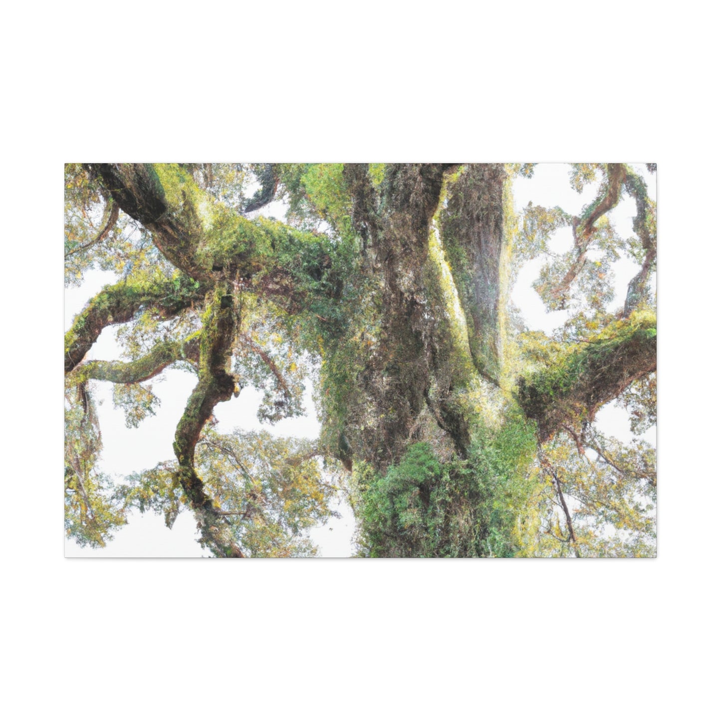 Mossy Oak Wonder. - Canvas