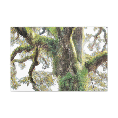 Mossy Oak Wonder. - Canvas