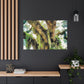 Vivid Woodland Scene - Canvas