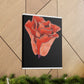 Abstract Blush Bloom - Canvas