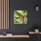 Vibrant Oak Harmony - Canvas