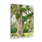 Rural Splendor Moss - Canvas