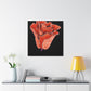 Abstract Blush Bloom - Canvas