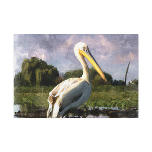 Marshy Pelican Dream - Canvas