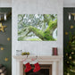 Mossy Oak Dreaming - Canvas
