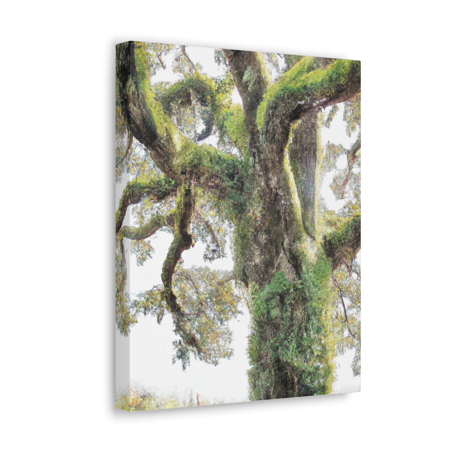 Mossy Oak Wonder. - Canvas