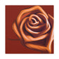 Rose Petal Bliss - Canvas