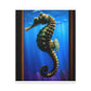 Ocean Seahorse Glint - Canvas