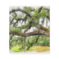 Faded Grandeur Oak. - Canvas