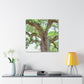 Vast Nature Bliss. - Canvas