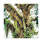 Vivid Woodland Scene - Canvas