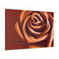 Rose Petal Bliss - Canvas