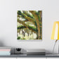 Nature's Embrace. - Canvas