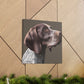 Pointer Perfection. - Canvas