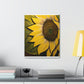 Thomasina Masterson - Canvas