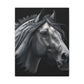 Midnight Mane - Canvas