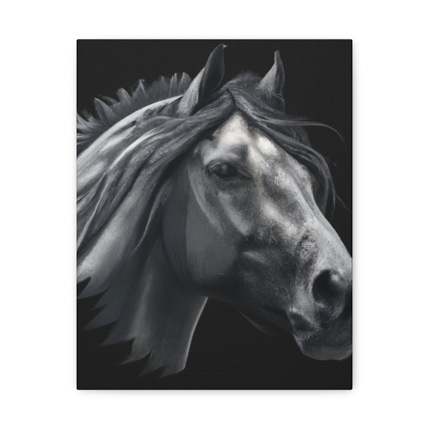 Midnight Mane - Canvas