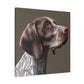 Pointer Perfection. - Canvas