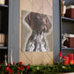 Pointer Posh. - Canvas