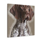 Pointer Posh. - Canvas