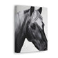 Shadow Steed. - Canvas
