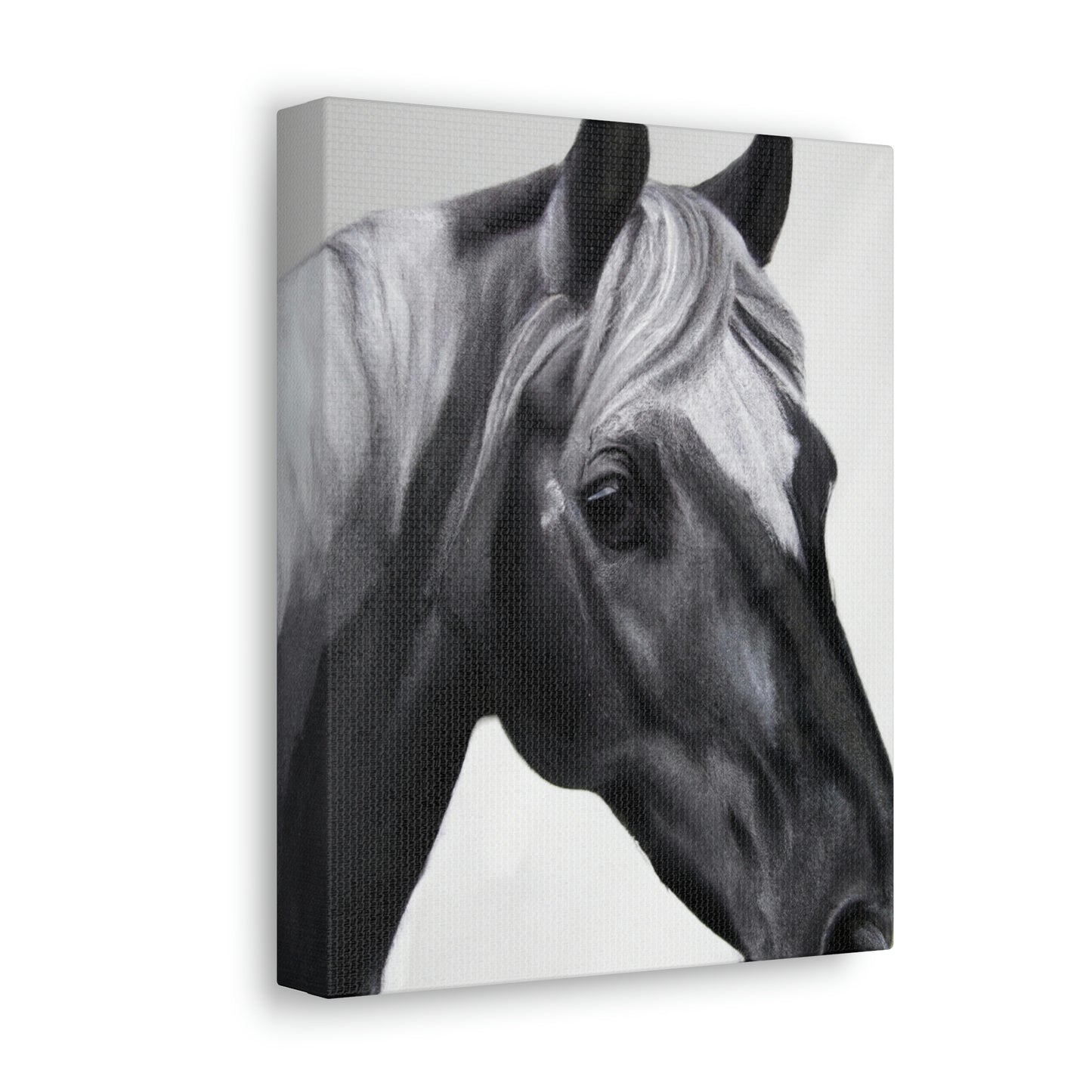 Shadow Steed. - Canvas