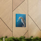 Marine Sea Life - Canvas