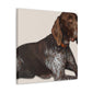 Dog Pointer Splendour - Canvas