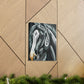 Granite Steed. - Canvas