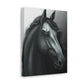 Dark Equus. - Canvas