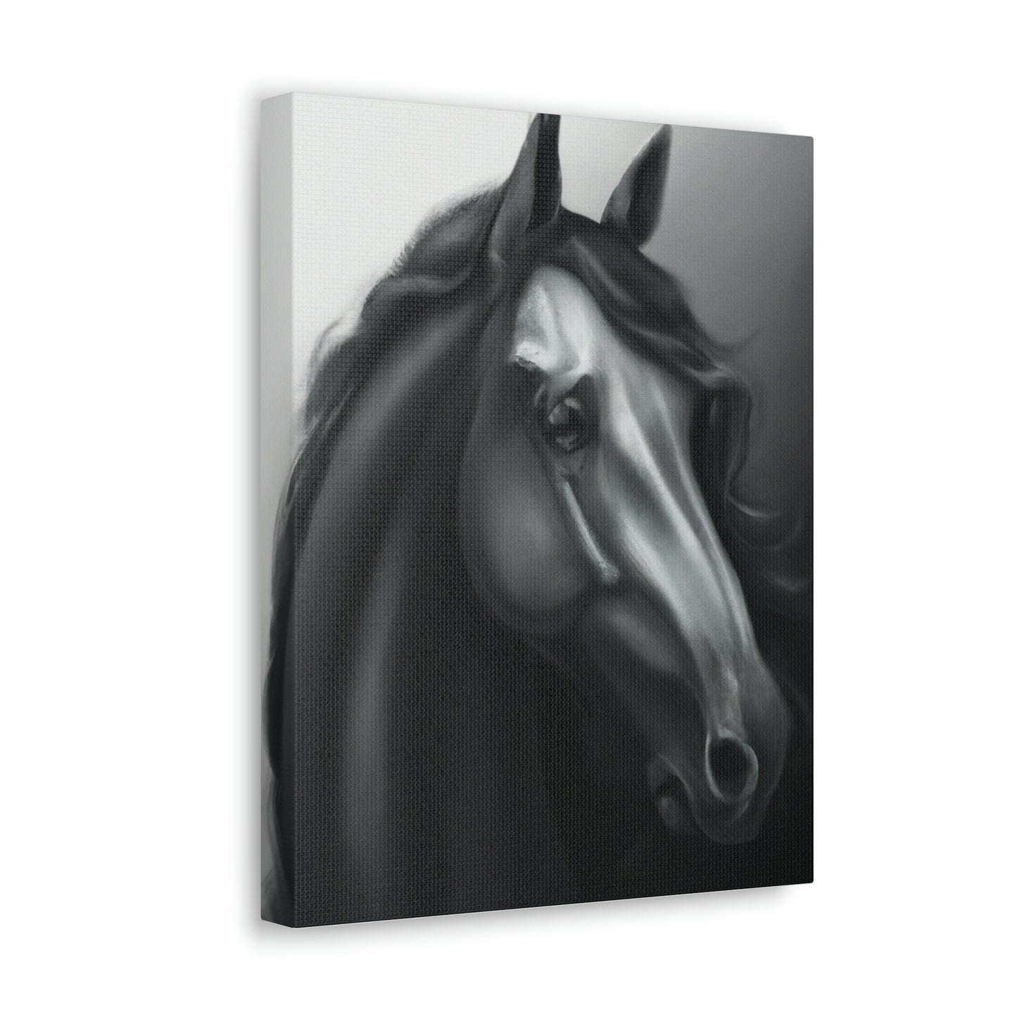 Dark Equus. - Canvas