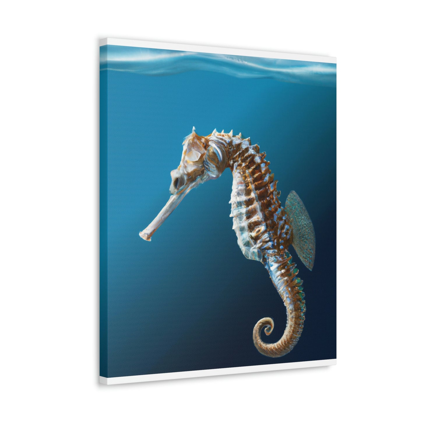 Marine Sea Life - Canvas