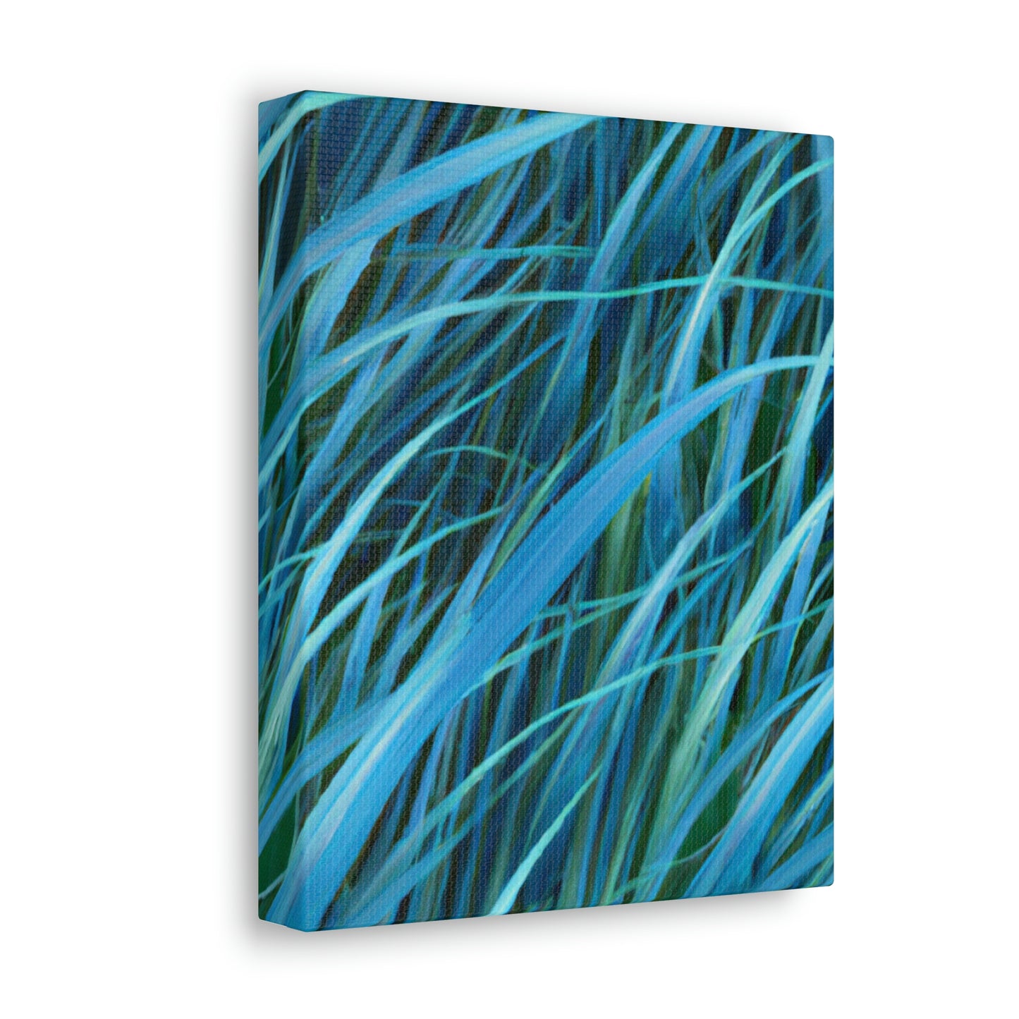 Oasis Groove. - Canvas