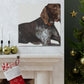 Dog Pointer Splendour - Canvas
