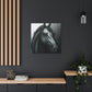 Dark Equus. - Canvas