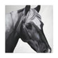 Shadow Steed. - Canvas