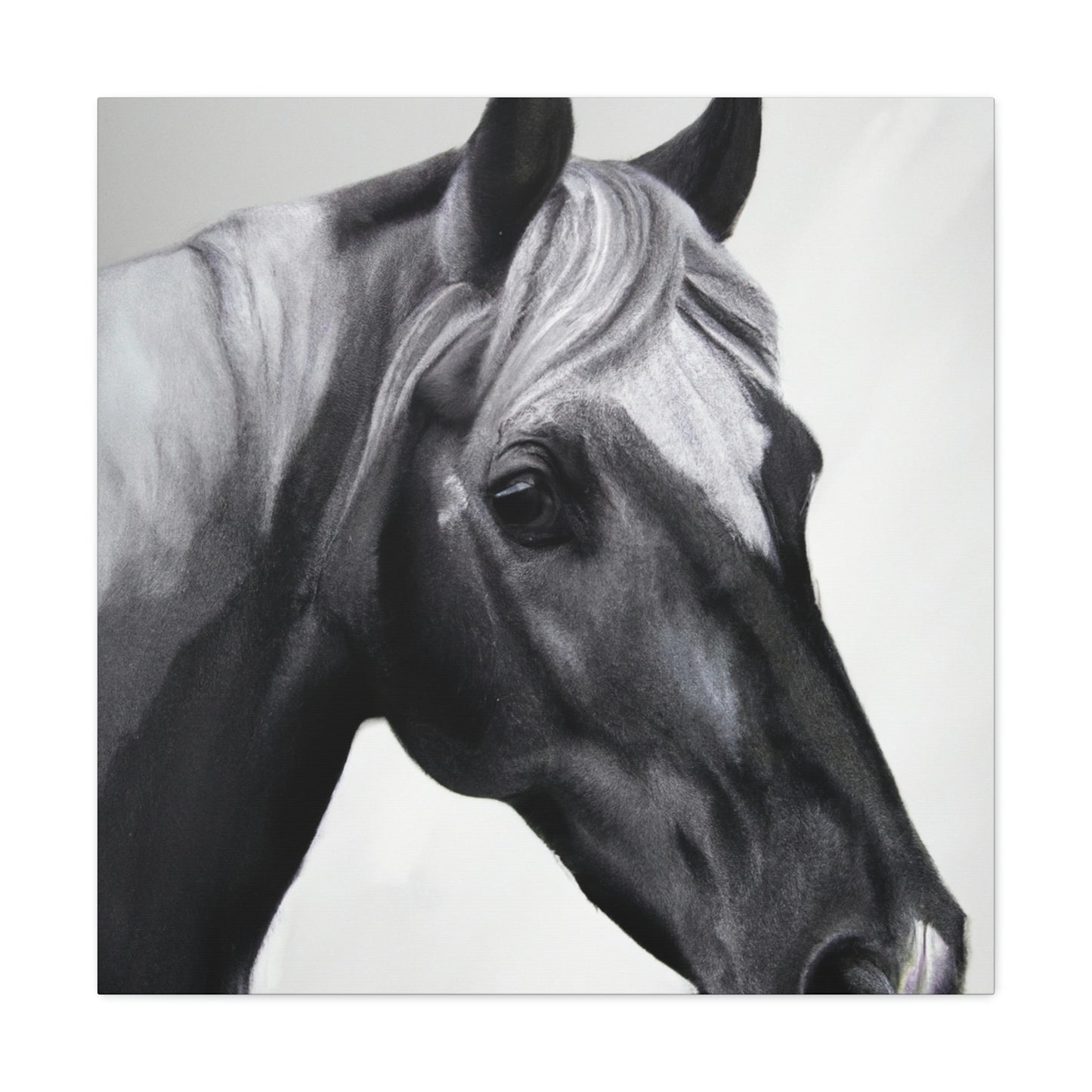 Shadow Steed. - Canvas