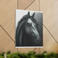 Dark Equus. - Canvas