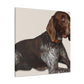 Dog Pointer Splendour - Canvas